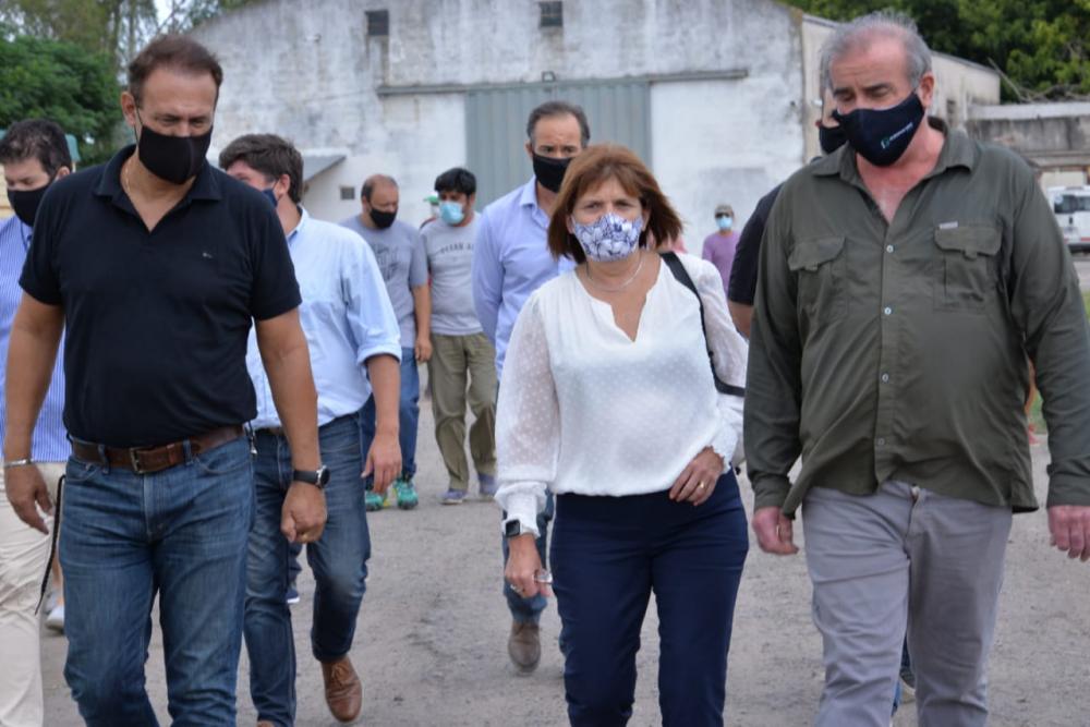 Patricia Bullrich recorrió el cordón frutihortícola de La Plata
