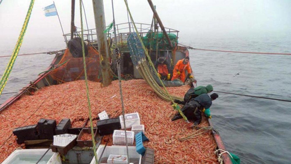 La actividad económica en la Provincia creció 4,5% en el primer trimestre