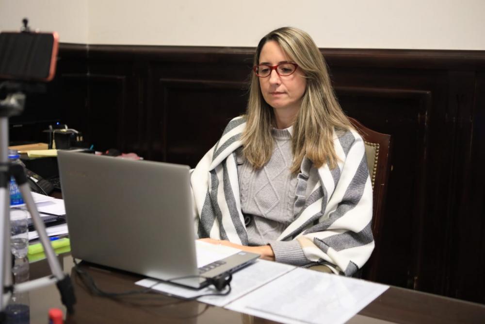 Se aprobó el proyecto que crea el programa “Buenos Aires emprende” de la senadora Delmonte