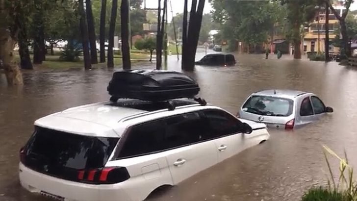 Clases suspendidas, techos volados y caída de arboles en localidades de la Costa Atlántica