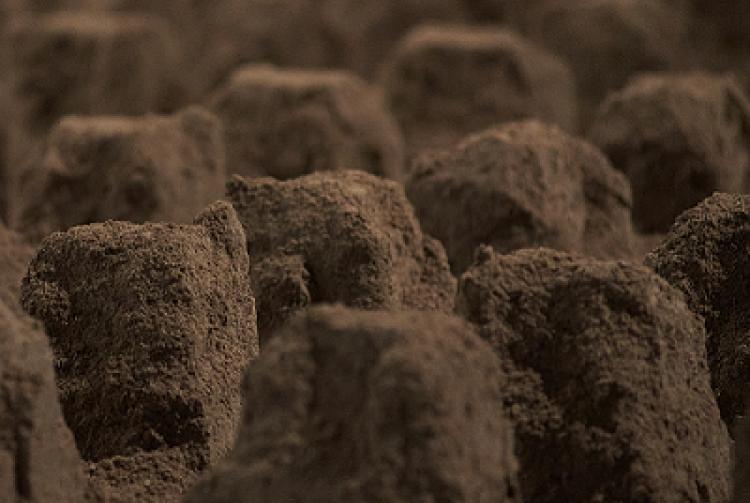 La Provincia de Buenos Aires presente en la tercera edición de BIENALSUR