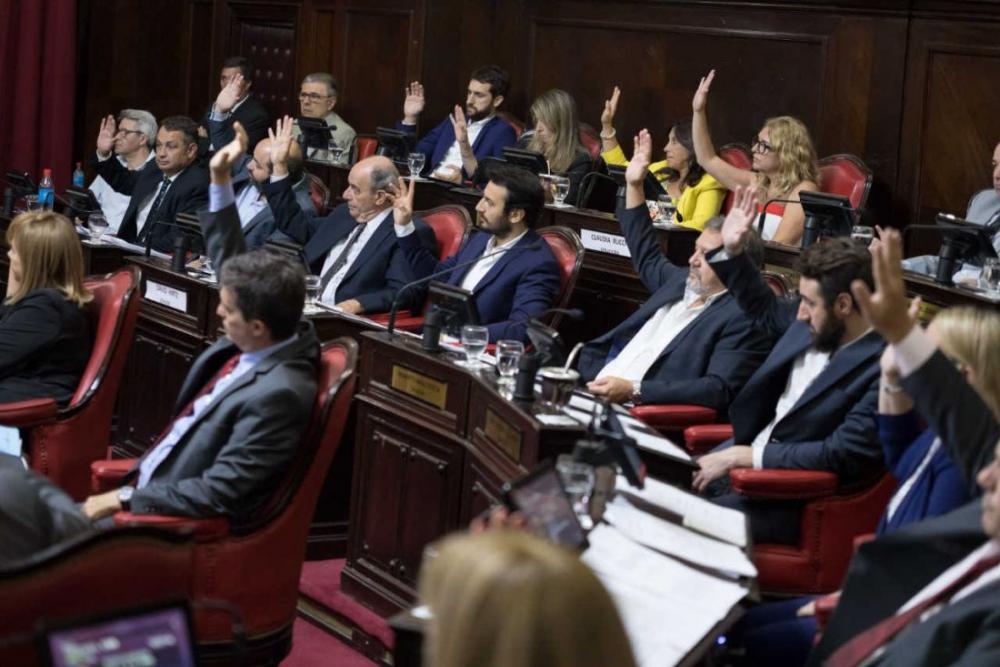 Senadores de Juntos repudiaron la violencia institucional ejercida por Aníbal Fernández sobre Nik