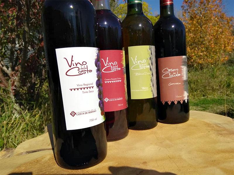 La Fiesta del Vino de la Costa estará en la Televisión Pública