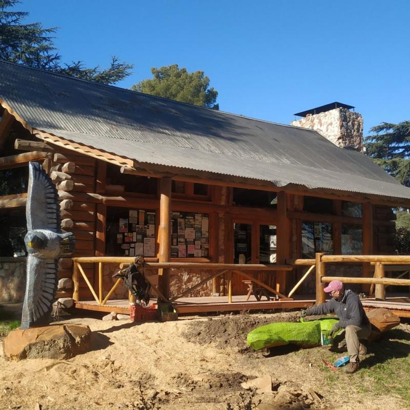 Un árbol caído fue transformado en dos nuevas esculturas en Sierra de la Ventana