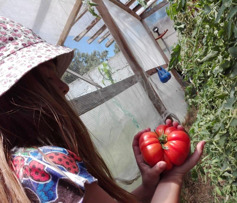 Tres destinos para viajar hacia una experiencia sustentable