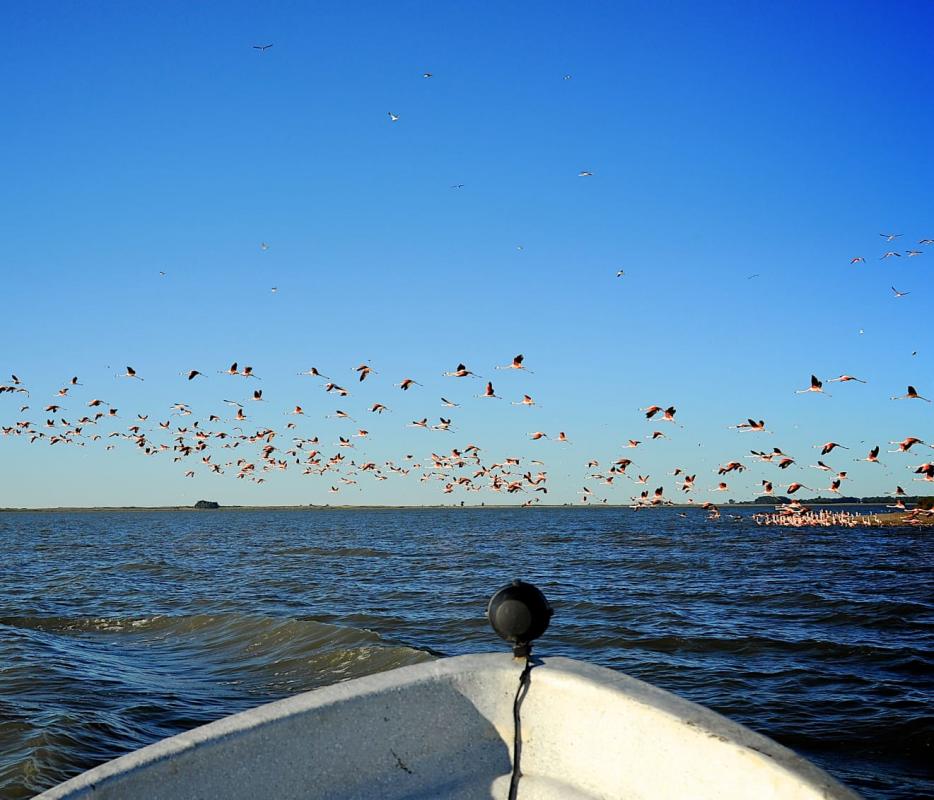 Paseos en lancha por las lagunas bonaerenses