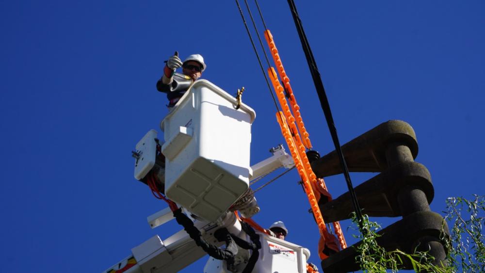 Edelap cumple 17 años trabajando de manera sostenible y amigable con el medio ambiente