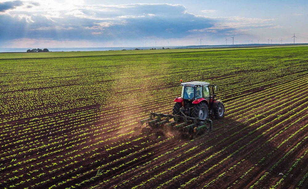 Juntos pidió a Provincia y a Nación que liberen la importación de semillas