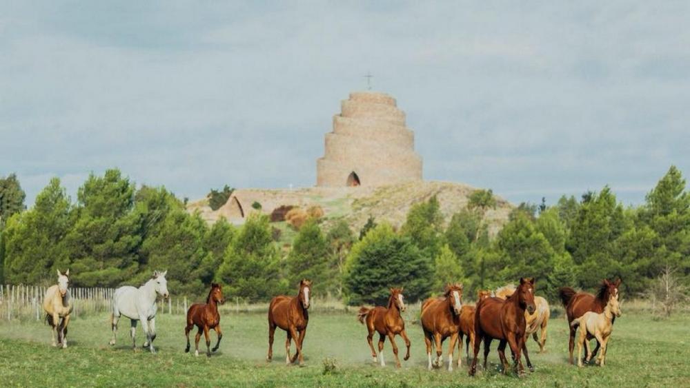 Puan y el misterio de su significado