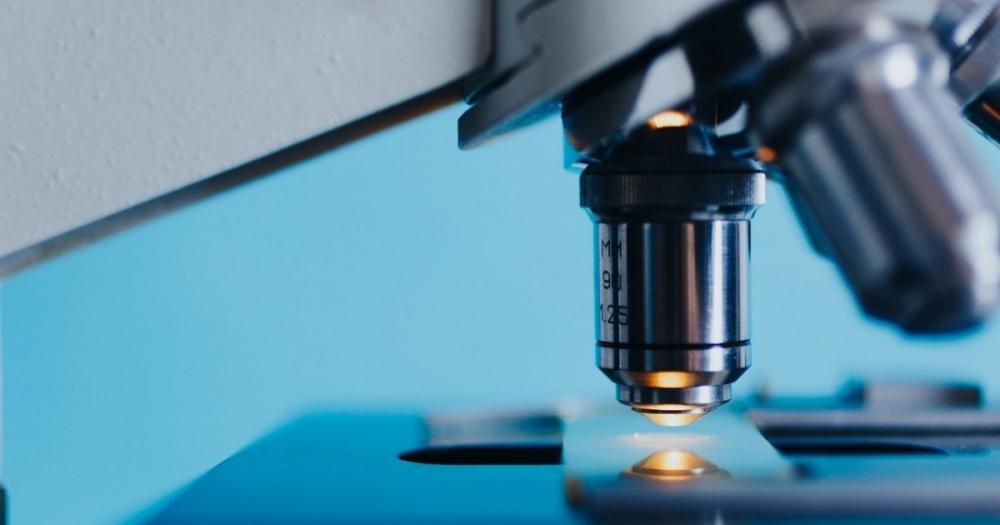 Se presentaron 177 proyectos en la segunda convocatoria del Fondo de Innovación Tecnológica