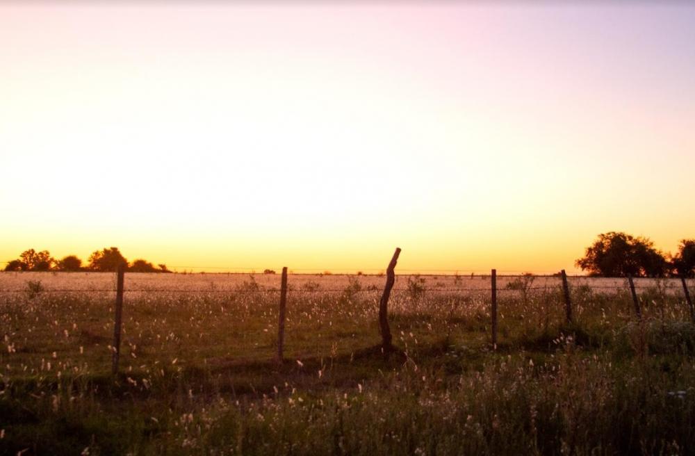 Río, historia y naturaleza a orillas del Paraná