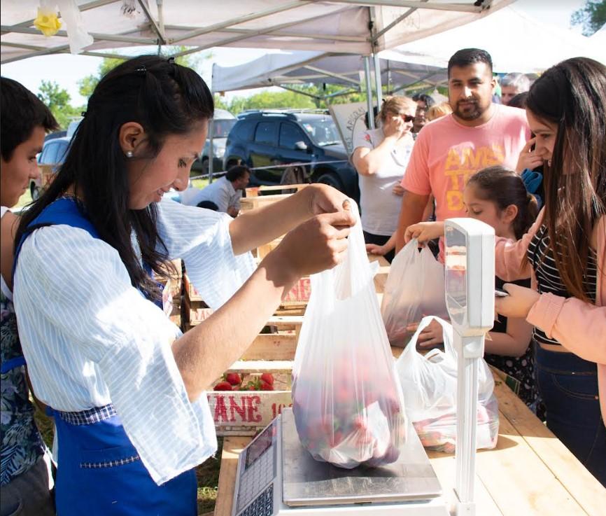 Destinos bonaerenses con las frutillas como protagonistas