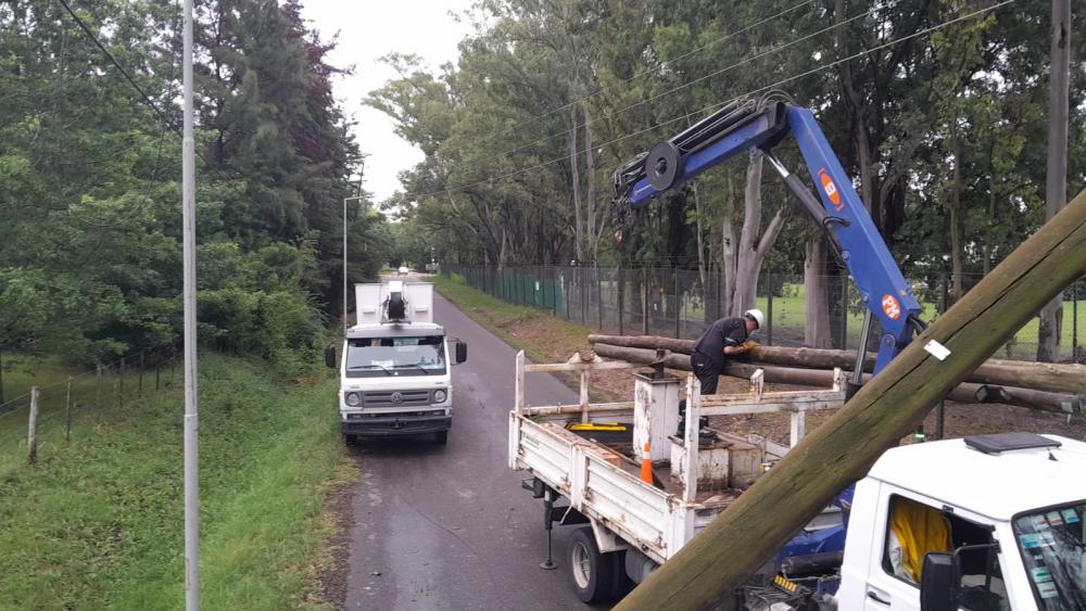 EDELAP ya restituyó el servicio al 65% de los usuarios afectados por la severa tormenta