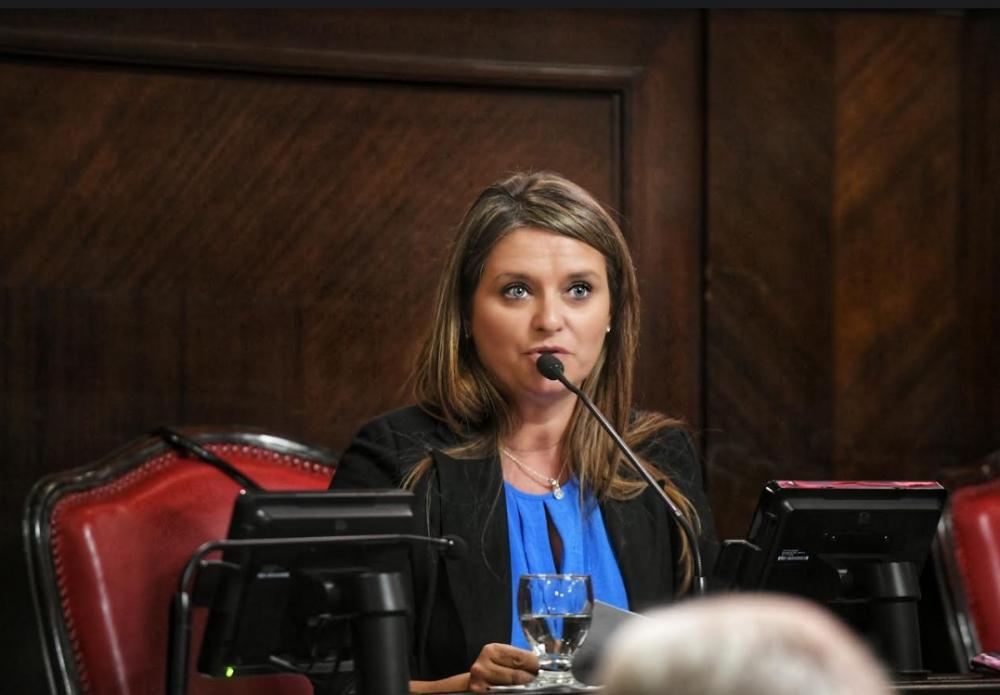 La senadora Neumann apoyó el pedido del gobernador de un ATN para Bahía Blanca por el temporal