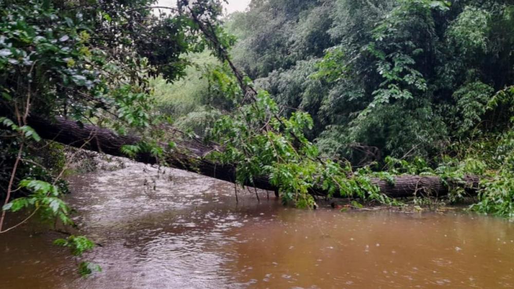 El Gobierno de la Provincia asiste a los afectados por el temporal con una línea de crédito