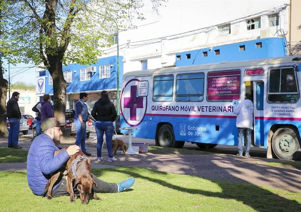 Destacan el trabajo sostenido que realiza el Centro Municipal de Sanidad y Zoonosis de Junín