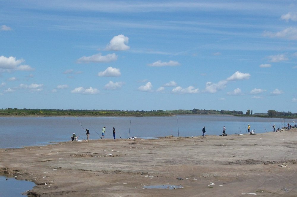 Presentan pedido de informes por cianobacterias en la Cuenca del Salado
