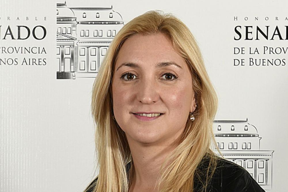 Senadores del PRO presentan proyecto paras terminar con la "puerta giratoria" en la provincia