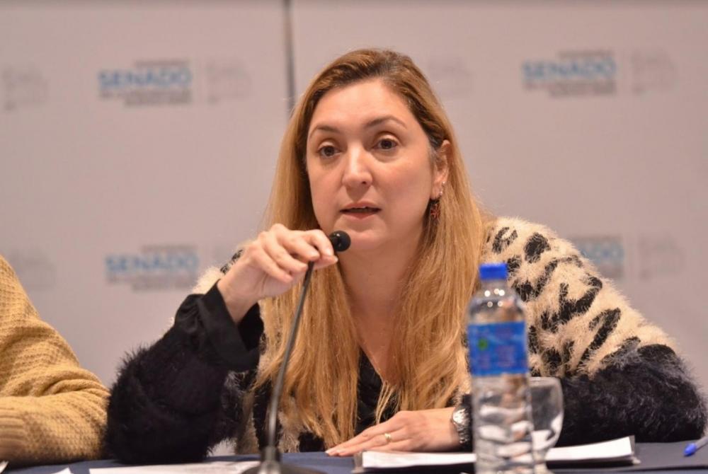 Ahumada repudió la eliminación de la repitencia en escuelas secundarias