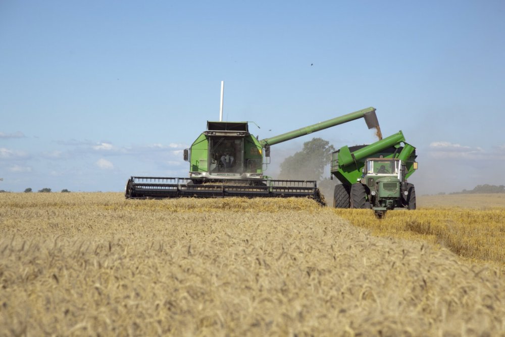 CARBAP denuncia un fuerte perjuicio a los productores que deben liquidar sus granos