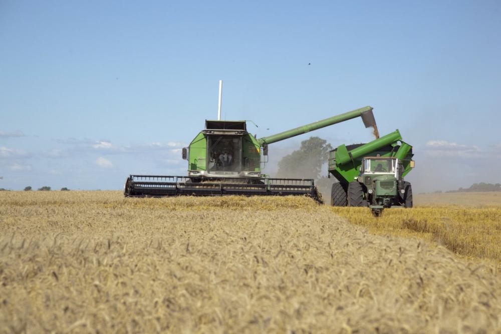 El Gobierno extiende la baja de retenciones para el trigo y la cebada pero deja afuera a la soja