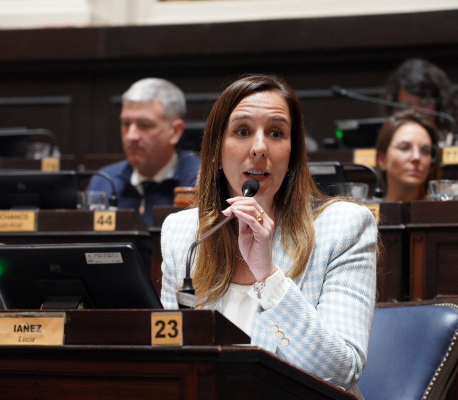 Diputada pide reformar la Constitución bonaerense: “Del ‘94 a hoy, cambió el mundo”