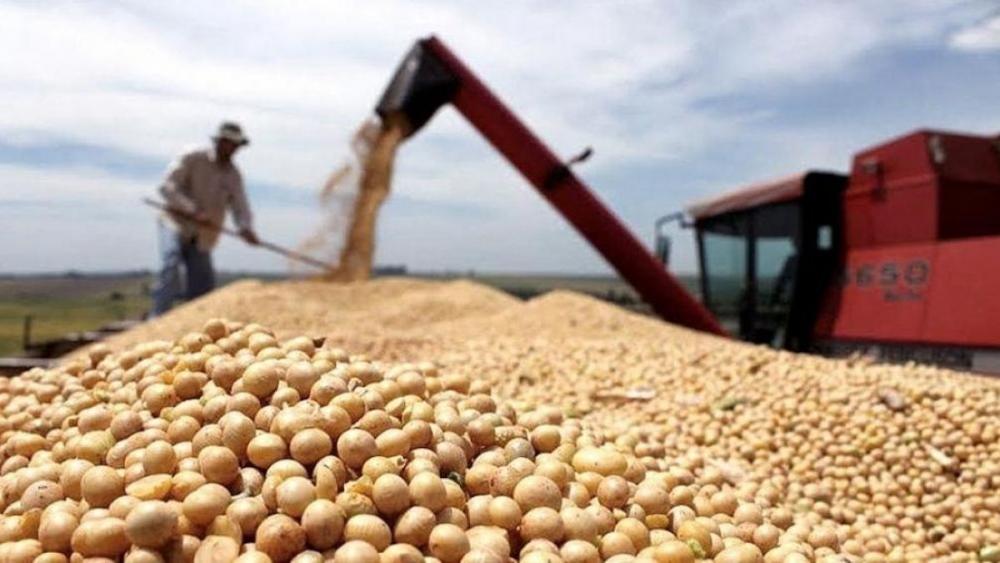 Vuelven las retenciones al agro: el Gobierno restablece el tributo tras alcanzar el cupo de liquidaciones