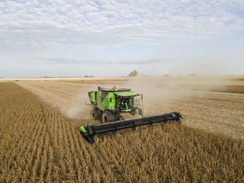 Enero récord para el campo: sube 82% la liquidación de divisas del complejo oleaginoso-cerealero