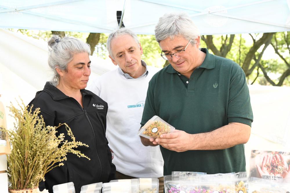 La Provincia avanza con un Plan Director de Caminos Rurales para ordenar obras y potenciar la producción