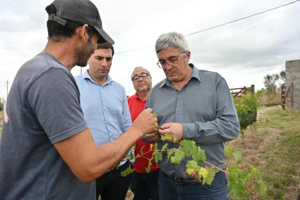 Javier Rodríguez cuestionó el cierre del Plan Estratégico Vitivinícola