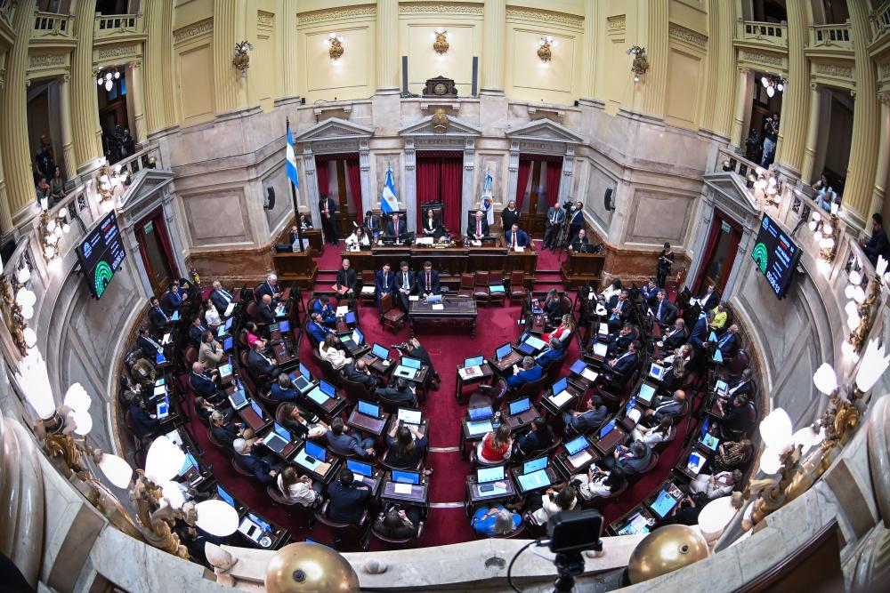 Reforma electoral: La Libertad Avanza busca votos clave en el Senado