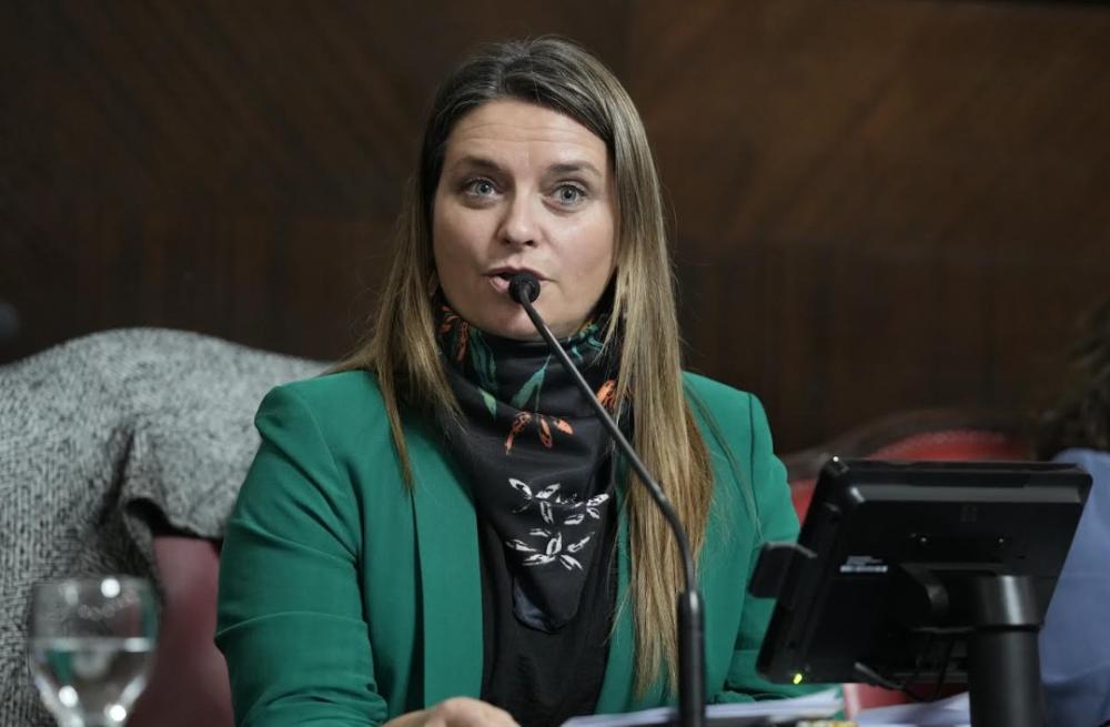 El Senado dio media sanción al proyecto de cartelería preventiva contra incendios en rutas y accesos estratégicos